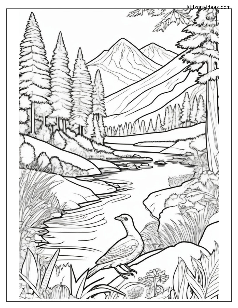 nature-coloring-page3